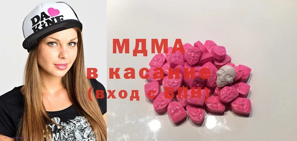 индика Алексин
