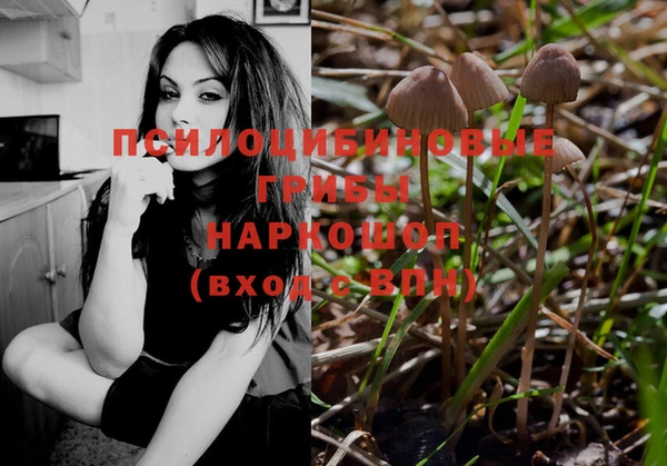 индика Алексин