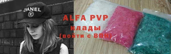 индика Алексин
