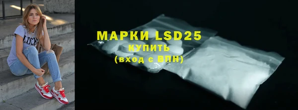 индика Алексин