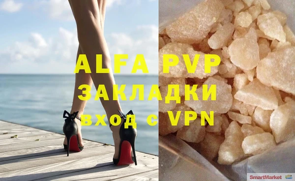 индика Алексин