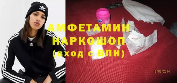индика Алексин