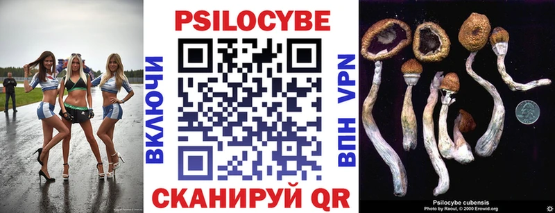 Галлюциногенные грибы Psilocybine cubensis  Купить где  Новороссийск 